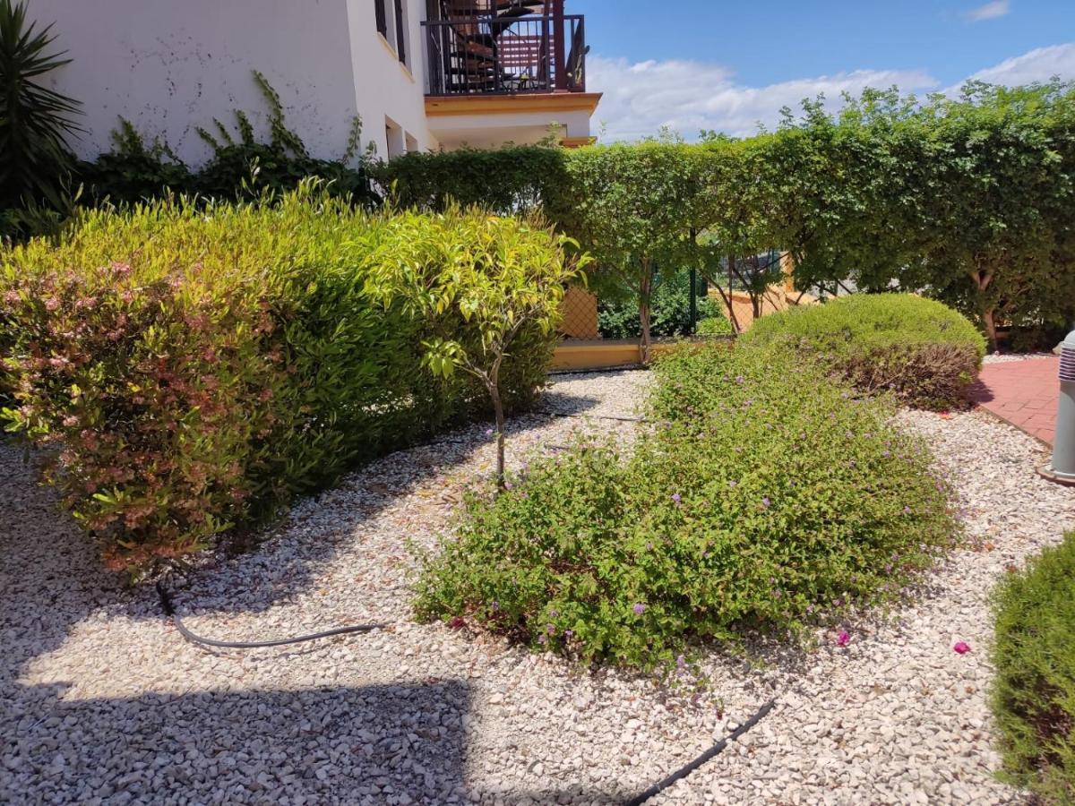 Completo Con Piscina Comunitaria Y Patio Exterior Apartment